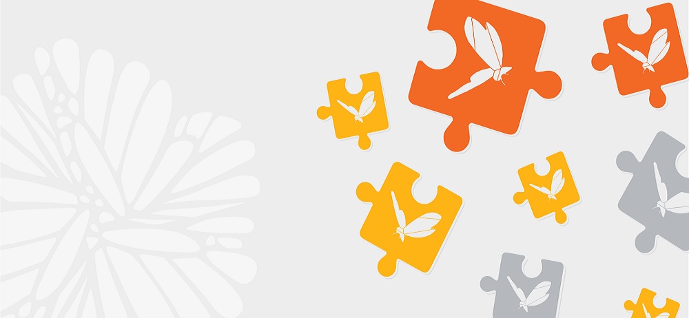 Creating Sustainable Volunteer Engagement