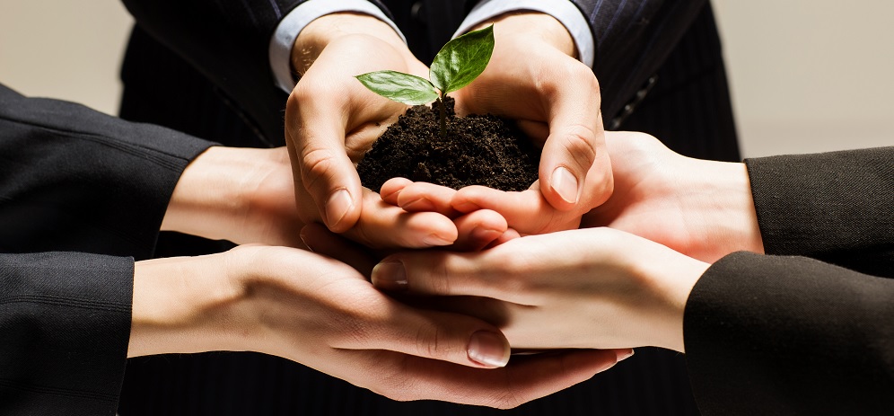 Develop Partnerships to Support Your Volunteer Program