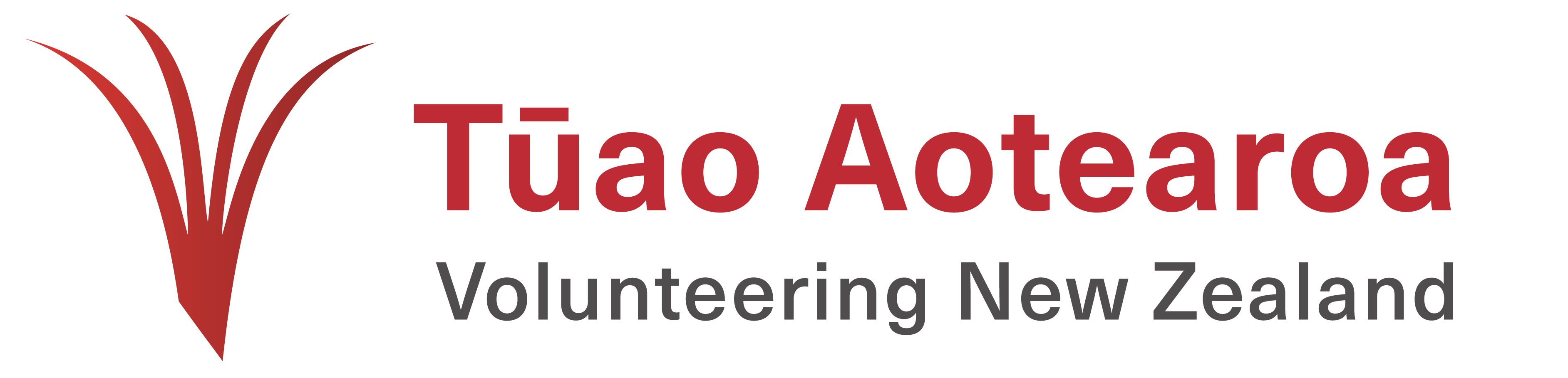 Volunteering New Zealand logo