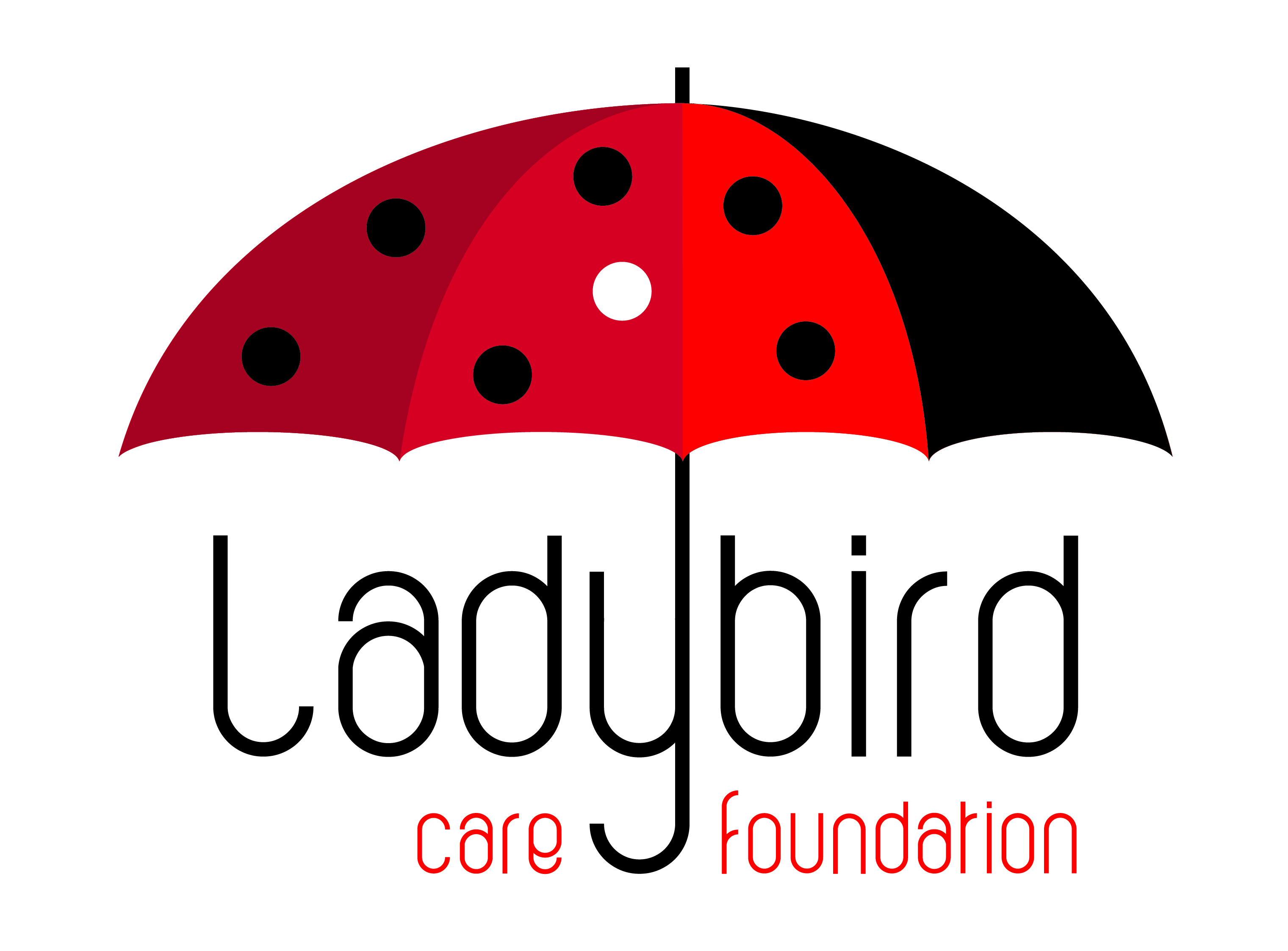 Ladybird Care Foundation logo